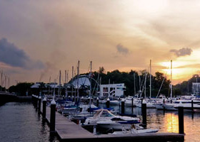 无限发短信验证码软件