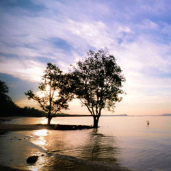 免费呼叫轰炸神器网页版